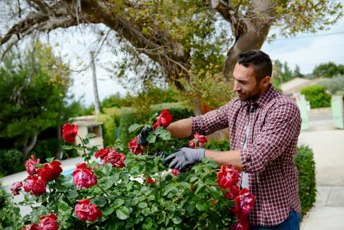 Team member taking notes at the end of an accessible garden visit