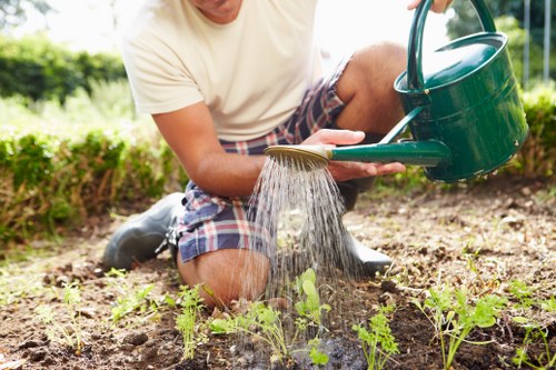 Efficient watering system in a Bethnal Green garden